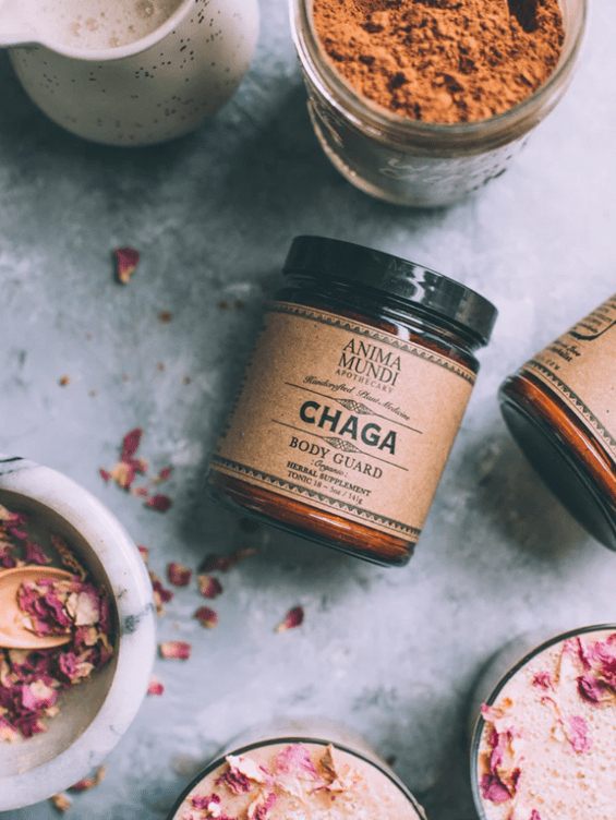 Anima Mundi Supplement Chaga - The Body Guard