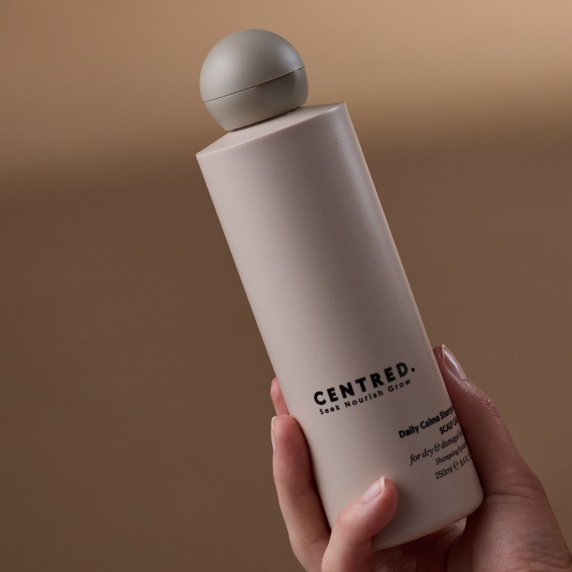 Daily Calma Repair Shampoo