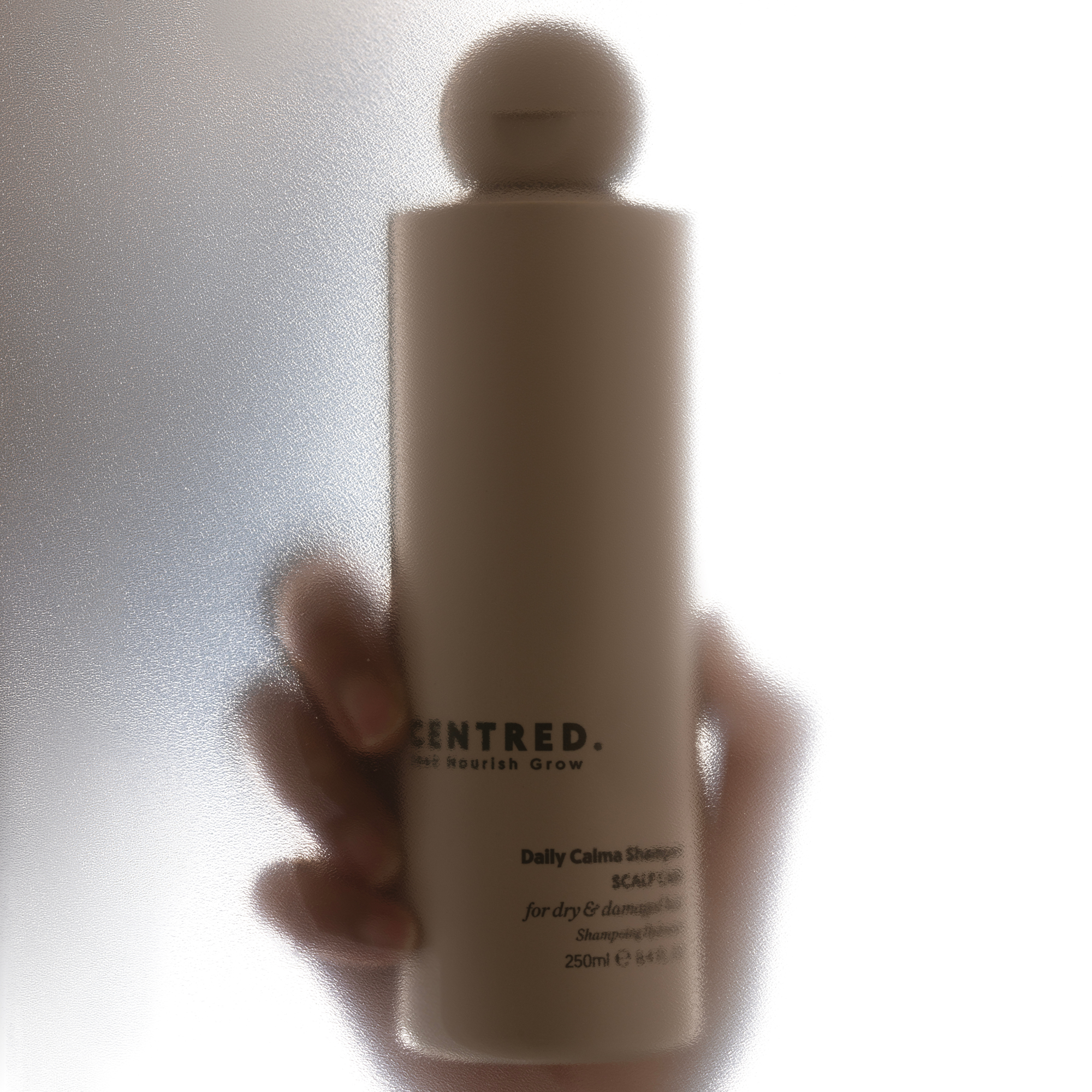 Daily Calma Repair Shampoo